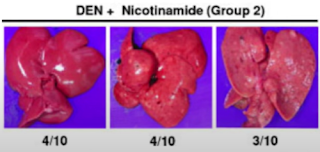 의사도-먹는-암-예방하는-비타민-B3-복용법!