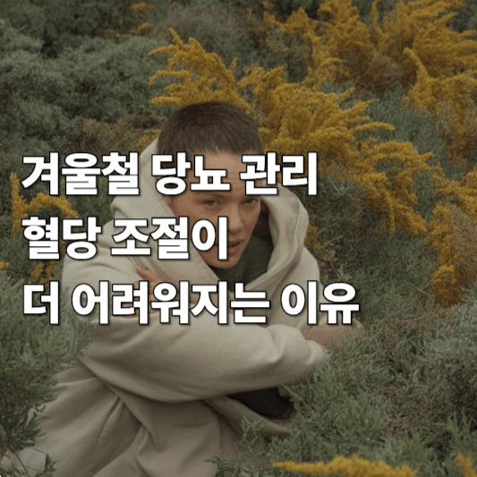 겨울철 당뇨 관리, 혈당 조절이 더 어려워지는 이유