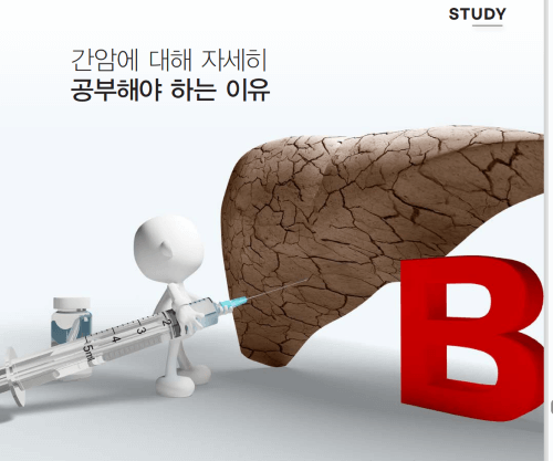 B형 간염ㅣ정의 특징 치료 예방