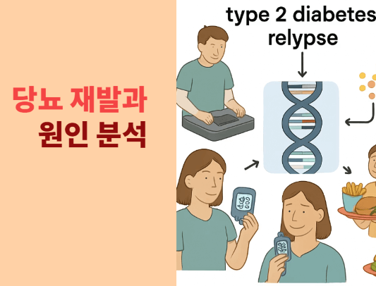 간암 9.12cm/당화혈색소 9.4 &rarr; 5.6 극복기 3편(2차 당뇨 재발과 그 원인 분석)