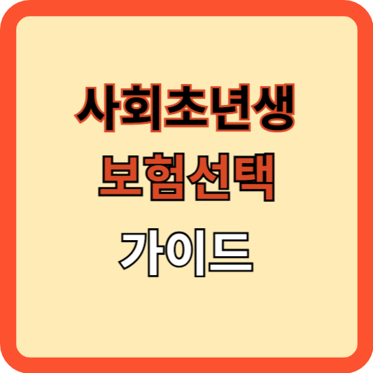 사회초년생 보험선택 가이드