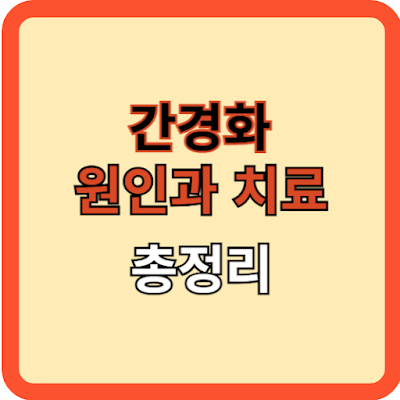간경화, 원인과 치료 총정리