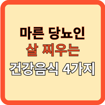 마른당뇨인 건강하게 살찌는 음식 4가지