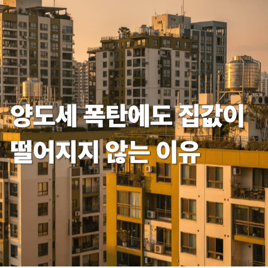 양도세 폭탄에도 집값이 떨어지지 않는 이유