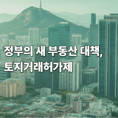 정부의 새 부동산 대책, 토지거래허가제