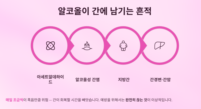 알코올이 간에 남기는 흔적