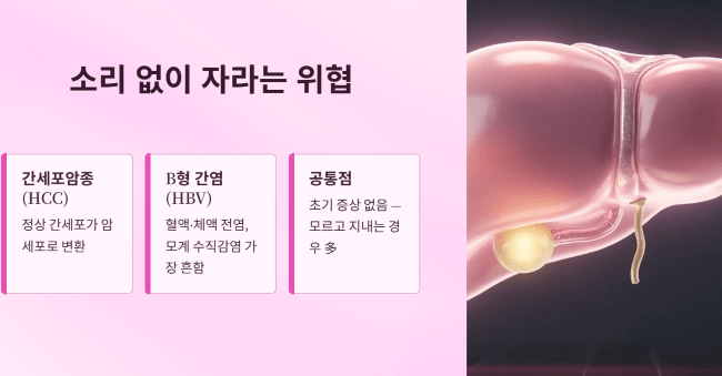 간암과 B형 간염이란