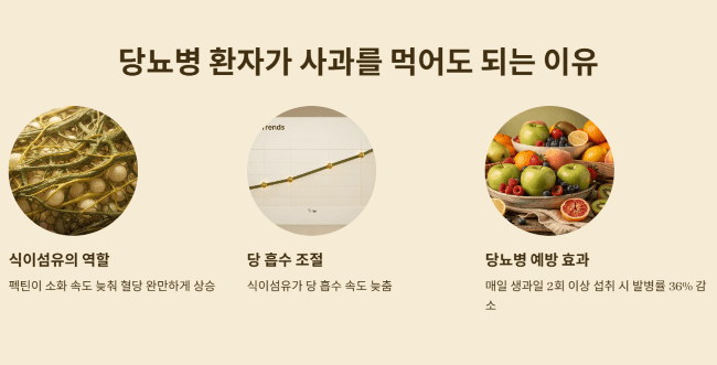 당뇨병 환자가 사과를 먹어도 되는 이유