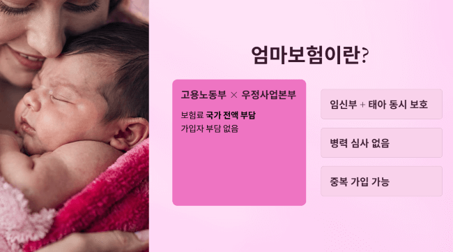 엄마보험이란 무엇인가