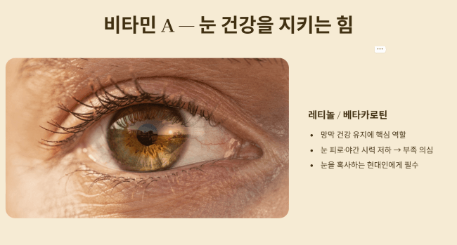 비타민 A