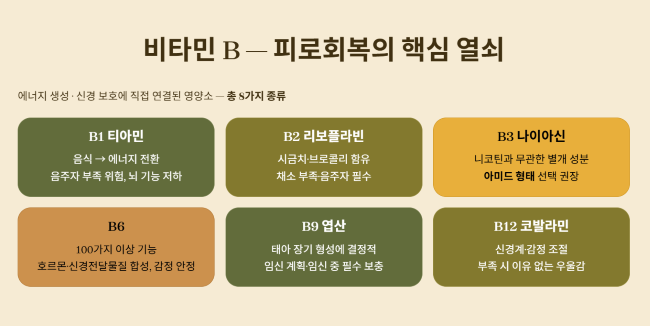 비타민 B