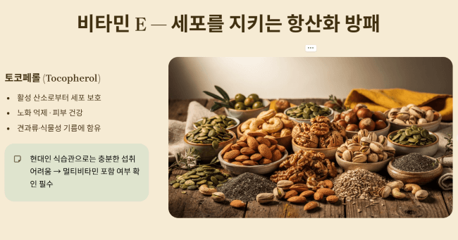 비타민 E