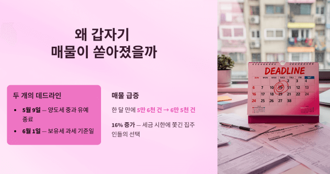 왜 갑자기 서울 아파트 매물이 이렇게 늘었을까