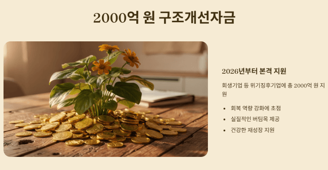 2000억 원 구조개선자금