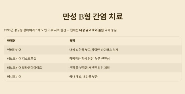 만성 B형 간염 치료