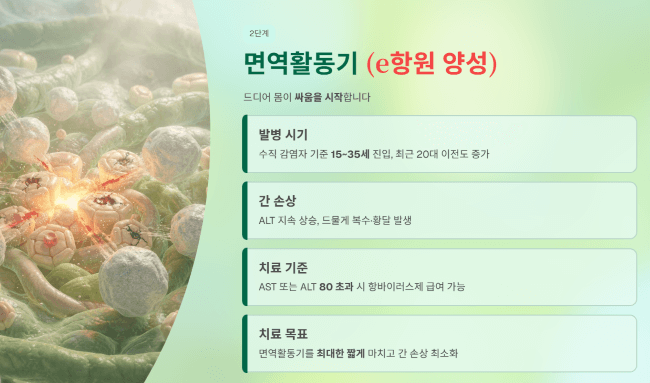 면역활동기 (e항원 양성)