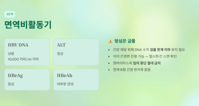 면역비활동기