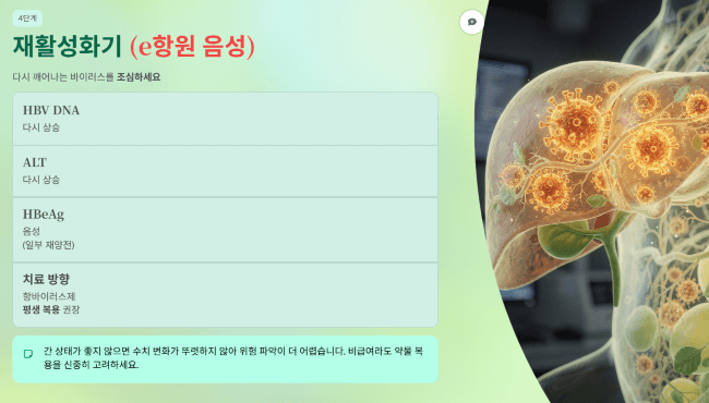 면역활동기 (e항원 음성, 재활성화기)