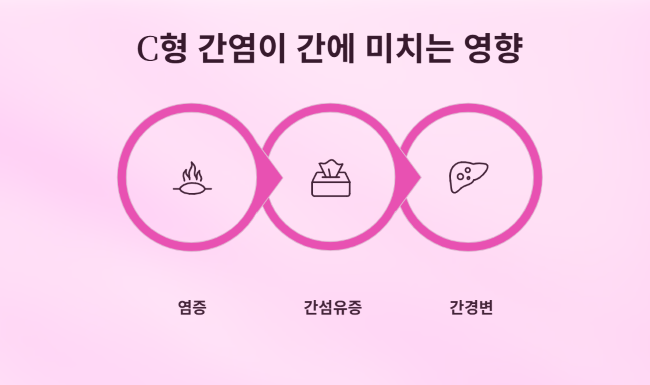 C형 간염이 간에 미치는 영향