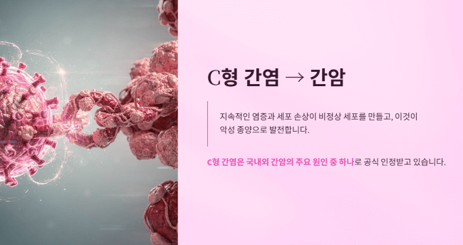 C형 간염과 간암의 연관성