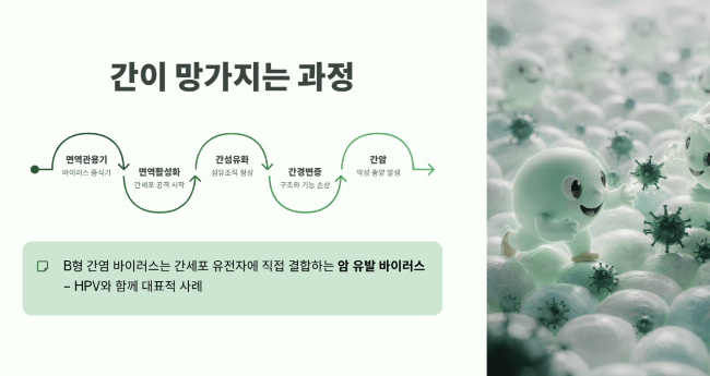 간이상 생기는 이유