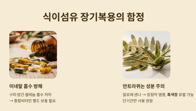 식이섬유를 오래 먹으면 생기는 일