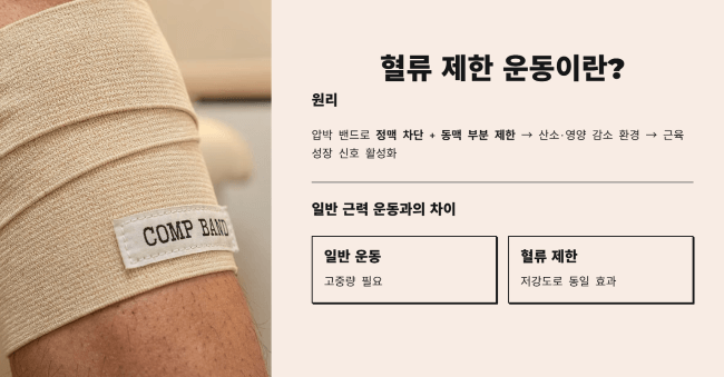 혈류 제한 운동이란 무엇인지 알아봅니다