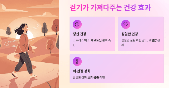 걷기 운동이 가져다주는 다양한 건강 효과
