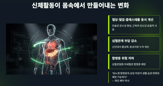 신체활동이 몸속에서 만들어내는 변화