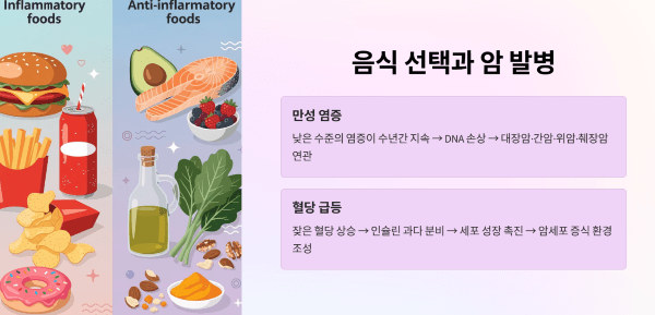 음식 선택과 암 발병