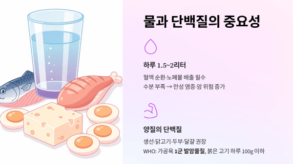 물과 단백질의 중요성
