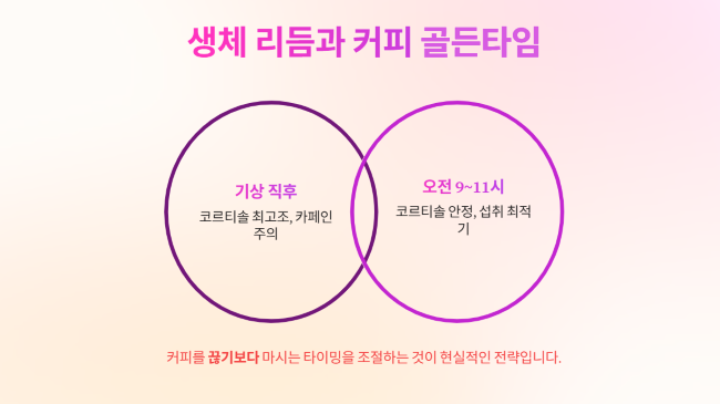 생체 리듬과 커피, 몸이 원하는 골든타임