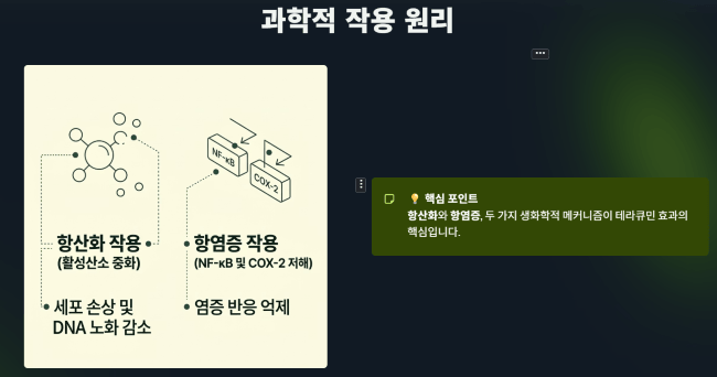 테라큐민의 과학적 작용 원리