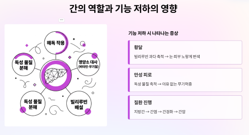 간 건강의 중요성