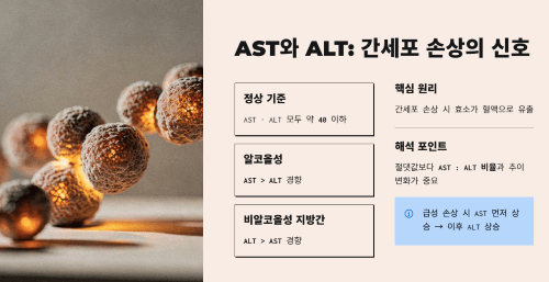 간수치 해석: AST와 ALT
