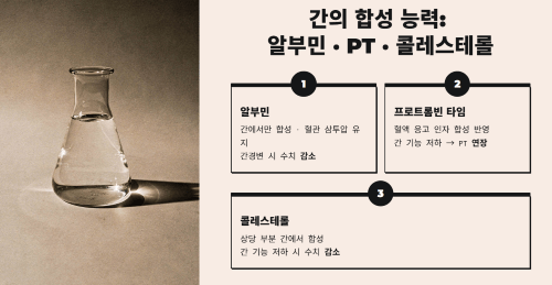 알부민과 간의 합성 능력 이해하기