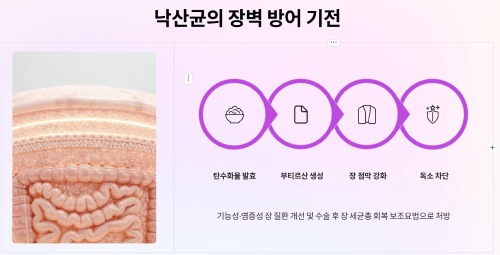 낙산균의 특징 및 효능
