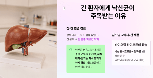 만성 간환자에 도움 되는 균은