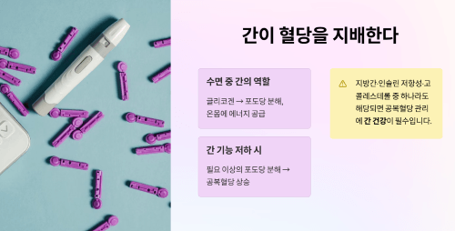 간 건강과 혈당