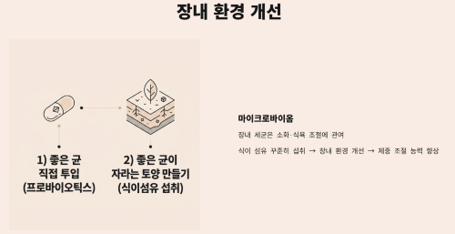 장내 환경 개선