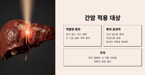 중입자 치료의 간암 적용