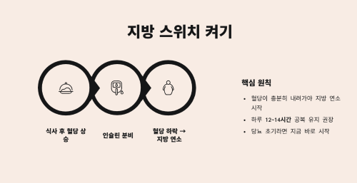 지방 스위치 켜기