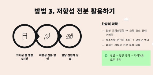 저항성 전분을 활용한 스마트한 밥 먹기