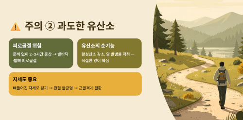 많은 유산소 운동