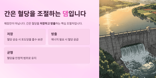 간은 혈당을 조절하는 댐