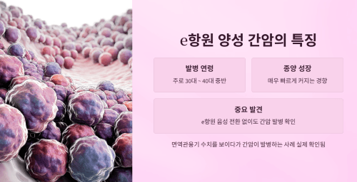 e항원 양성일 때 간암의 특징