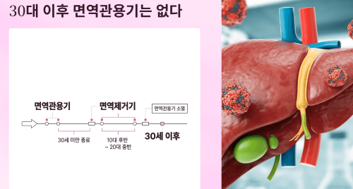 30대 이후 면역관용기는 없다