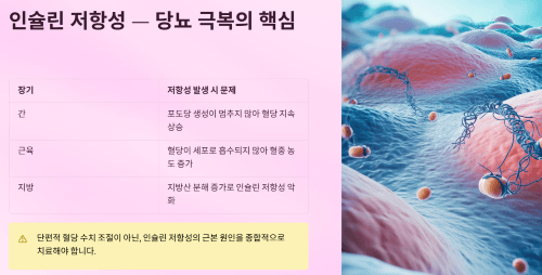 인슐린 저항성 개선