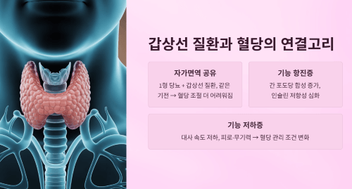 갑상선 질환 확인이 혈당 조절에 미치는 영향