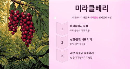 미라클베리